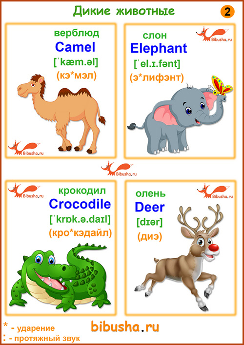 Карточки по английскому языку - Camel - Верблюд, Elephant - Слон, Crocodile - Крокодил, Deer - Олень