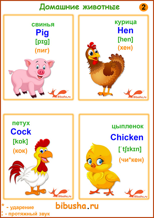 Карточки английских слов - Pig - Свинья, Hen - Курица, Cock - Петух, Chicken - Цыпленок.