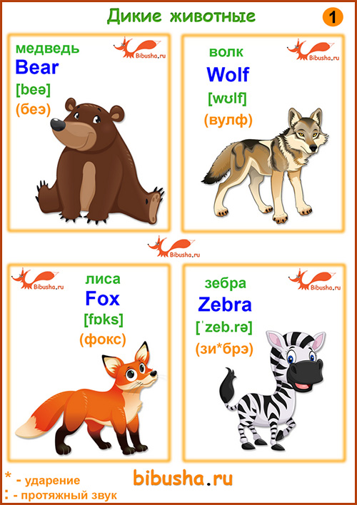 Английские карточки - Дикие животные -Bear - Медведь, Wolf - Волк, Fox - Лиса, Zebra - Зебра.