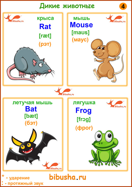 Английские карточки - Rat - Крыса, Mouse - Мышь, Bat - Летучая мышь, Frog - Лягушка