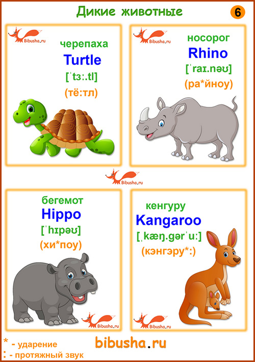Карточки английских слов - Turtle - Черепаха, Rhino - Носорог, Hippo - Бегемот, Kangaroo - Кенгуру