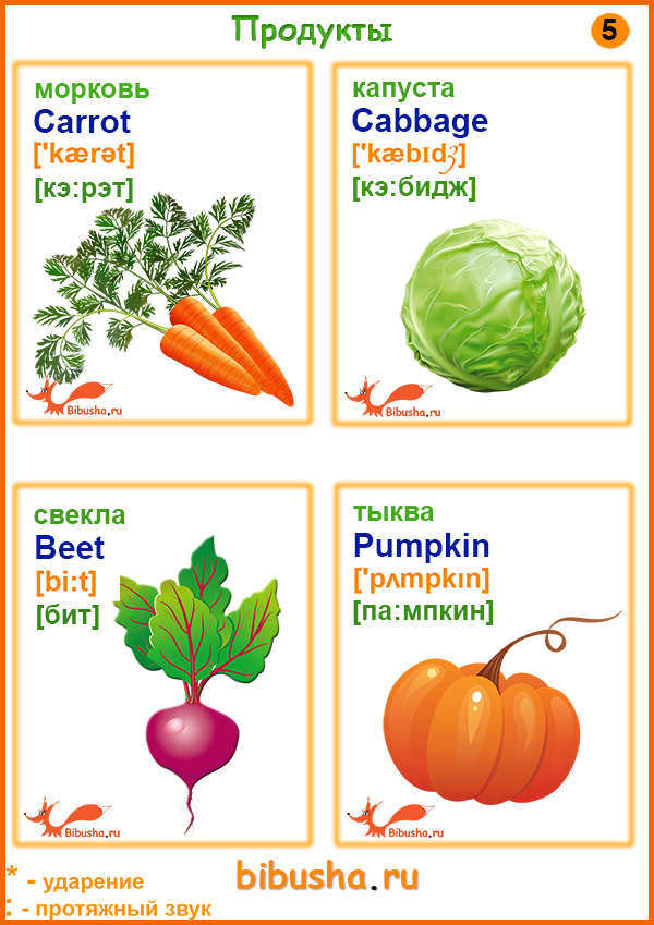Английские слова - Овощи: Морковь - Carrot, Капуста - Cabbage, Свекла - Beet, Тыква - Pumpkin