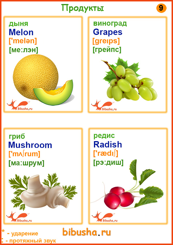 Карточки английских слов - Дыня - Melon, Виноград - Grapes, Гриб - Mushroom, Редис - Radish