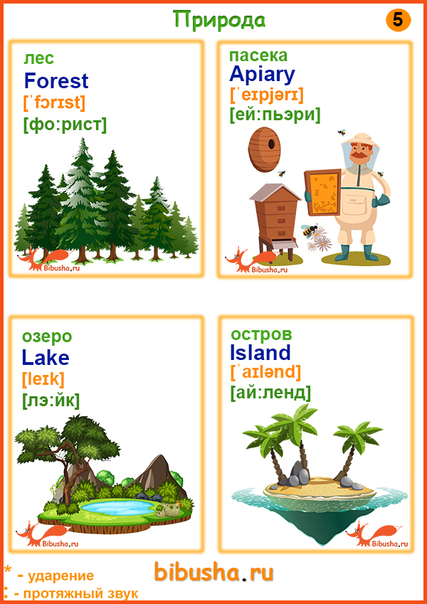 Учим английские слова - Forest-rainbow, пасека-apiary, озеро-lake, остров-island