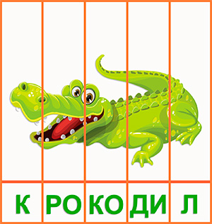 Крокодил - Дикие животные - Карточки