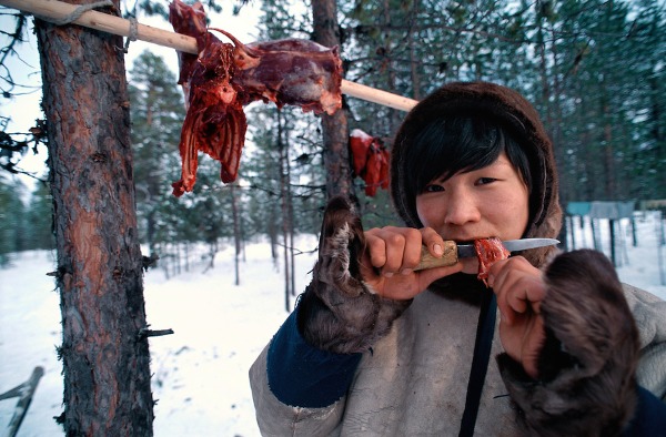 Эскимосы инуиты едят сырое мясо