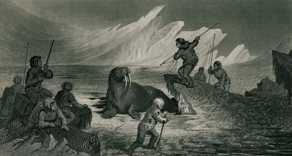 Эскимосы - древние охотники и рыболовы